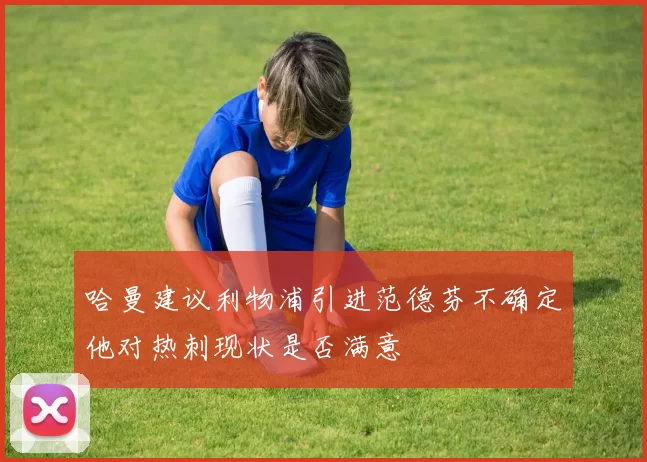 哈曼建议利物浦引进范德芬不确定他对热刺现状是否满意